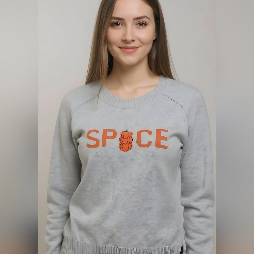 LOFT Light Gray 'Spice' Sweater New Without Tag SzXL